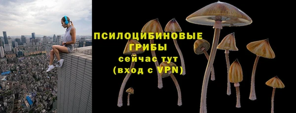 мяу мяу мука Покров