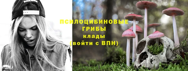 гашик Покачи