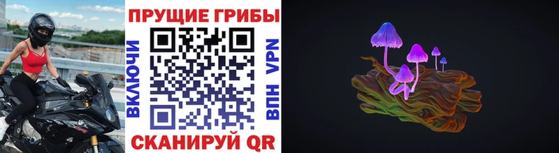 Псилоцибиновые грибы прущие грибы  shop как зайти  Свободный 